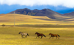 内蒙古自治区乌兰布统景区秋色