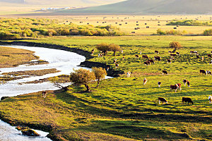内蒙古旅游自然风景摄影封面照片内蒙古