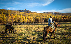 秋天草原上骑马的蒙古汉子
