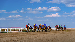 内蒙古国际速度赛马