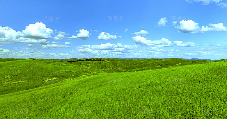夏季内蒙古大草原景观