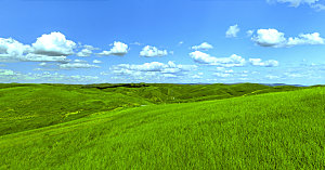 夏季内蒙古大草原景观