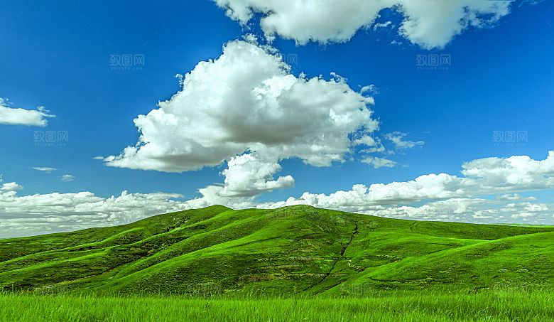 夏季内蒙古大草原景观