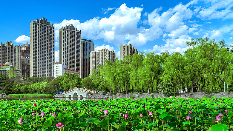 内蒙古呼和浩特城市绿色楼房景观