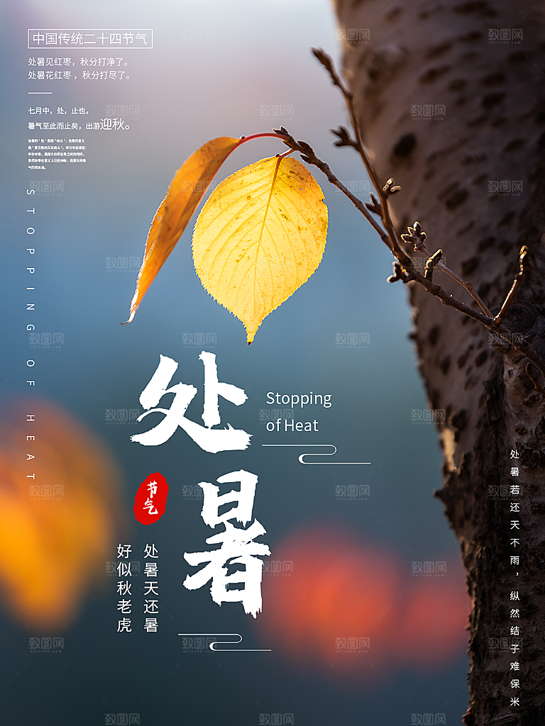 处暑节气简约大气海报