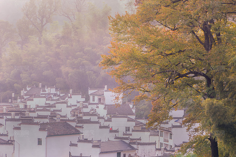 江西古镇婺源旅游风景摄影封面照片古镇图片