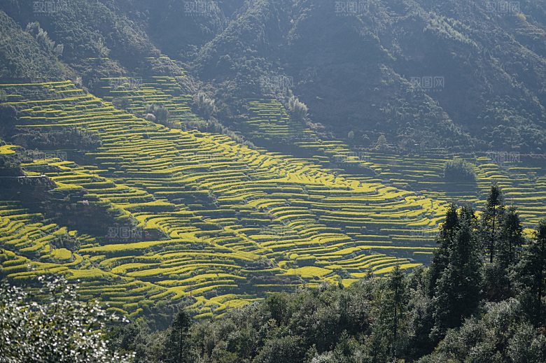 江西古镇婺源旅游风景摄影封面照片古镇图片