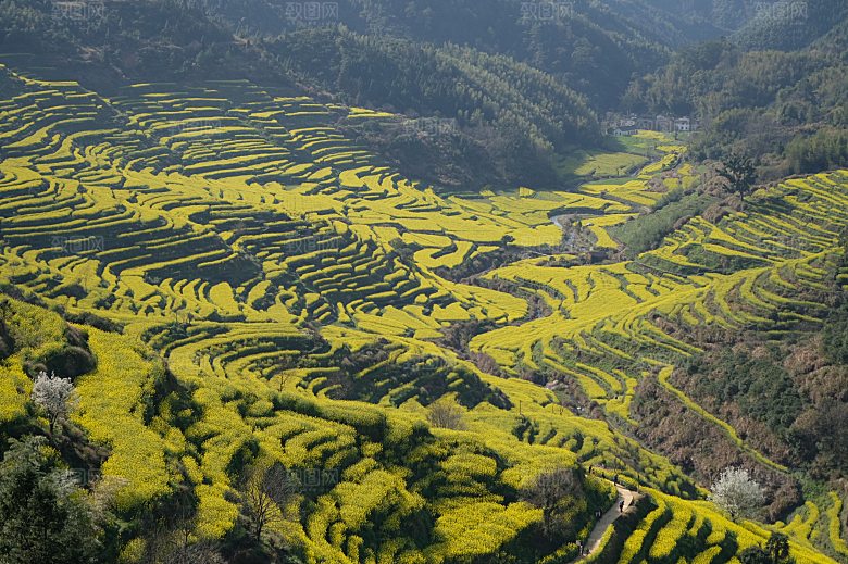 江西古镇婺源旅游风景摄影封面照片古镇图片