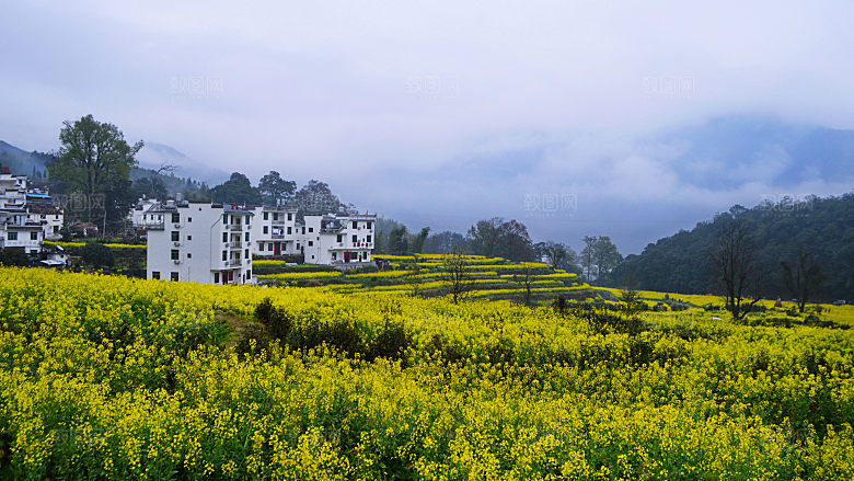 江西古镇婺源旅游风景摄影封面照片古镇