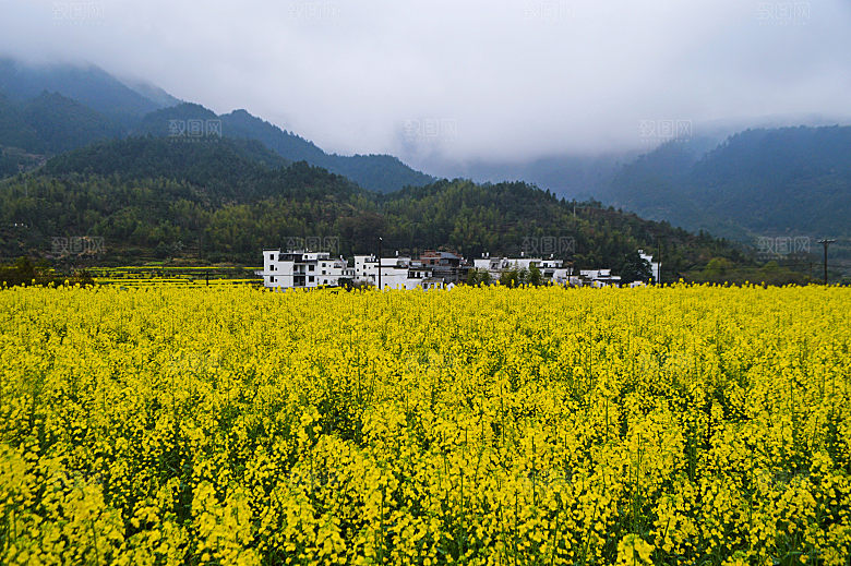江西古镇婺源旅游风景摄影封面照片古镇