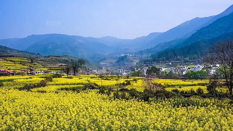 江西古镇婺源旅游风景摄影封面照片古镇图片