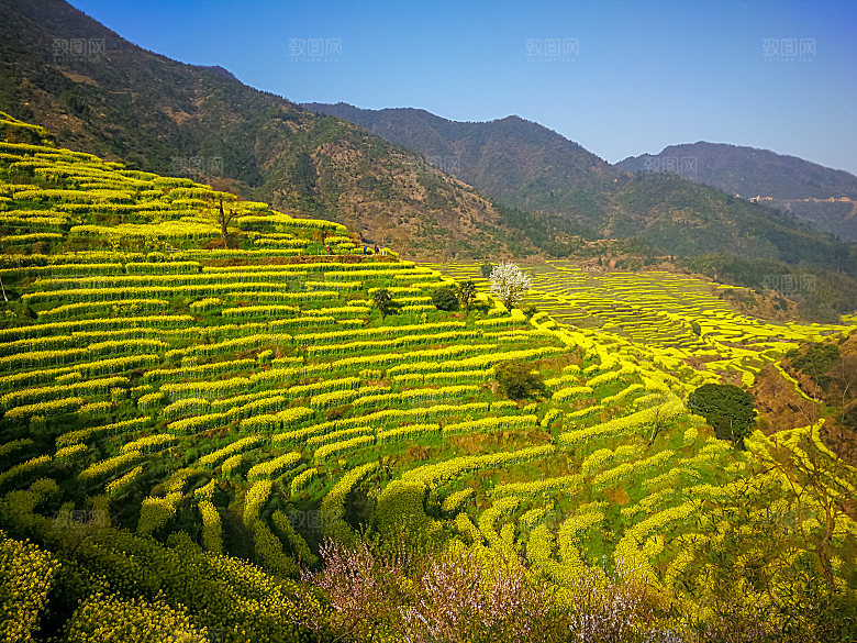 江西古镇婺源旅游风景摄影封面照片古镇