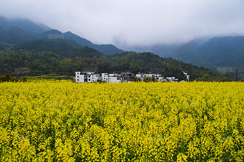 江西古镇婺源旅游风景摄影封面照片古镇图片