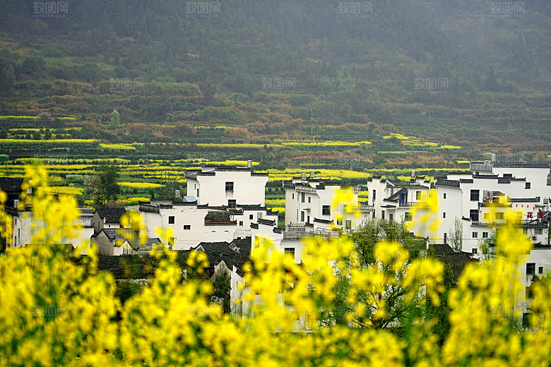 江西古镇婺源旅游风景摄影封面照片古镇