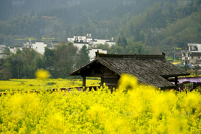 江西古镇婺源旅游风景摄影封面照片古镇