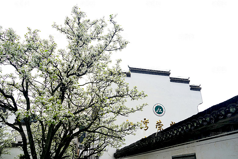 江西古镇婺源旅游风景摄影封面照片古镇图片