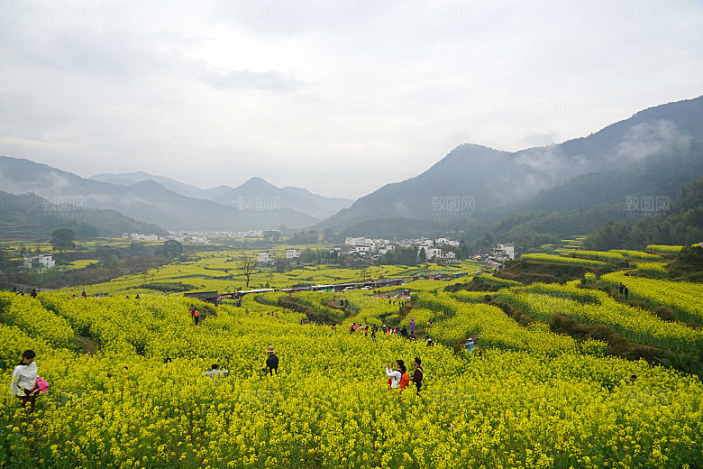 江西古镇婺源旅游风景摄影封面照片古镇图片