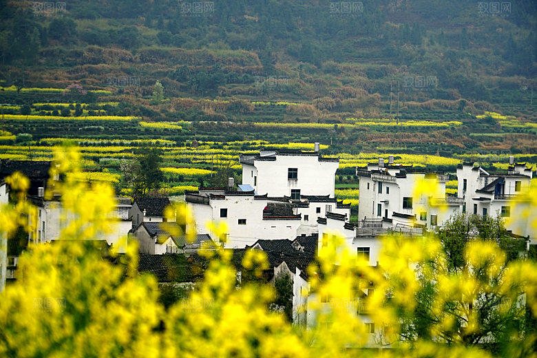江西古镇婺源旅游风景摄影封面照片古镇图片