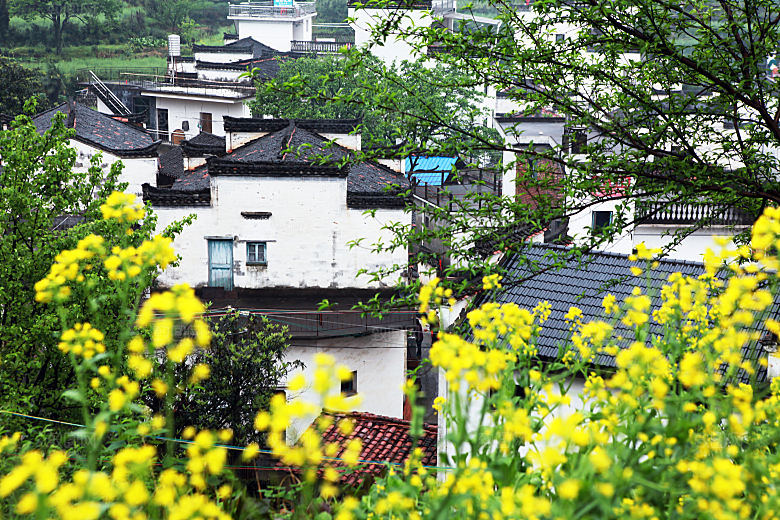 江西古镇婺源旅游风景摄影封面照片古镇图片