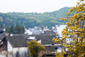 江西古镇婺源旅游风景摄影封面照片古镇