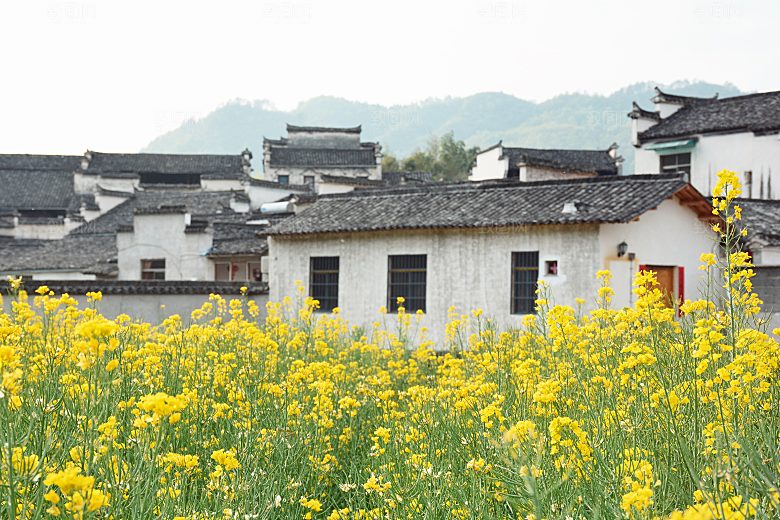 江西古镇婺源旅游风景摄影封面照片古镇