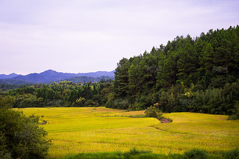 江西古镇婺源旅游风景摄影封面照片古镇图片