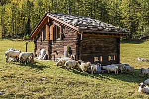 欧洲乡村旅游自然风景农村封面欧洲乡村