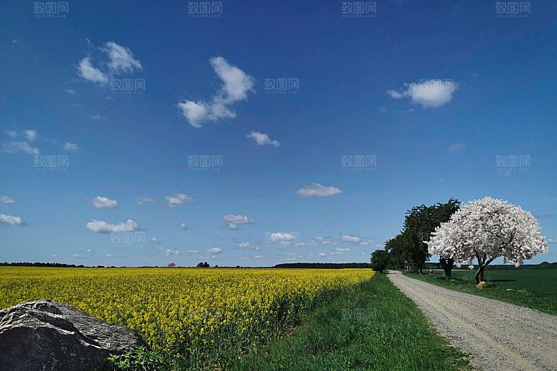 欧洲乡村旅游自然风景农村封面欧洲乡村图片