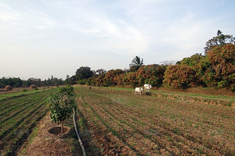 欧洲乡村旅游自然风景农村封面欧洲乡村