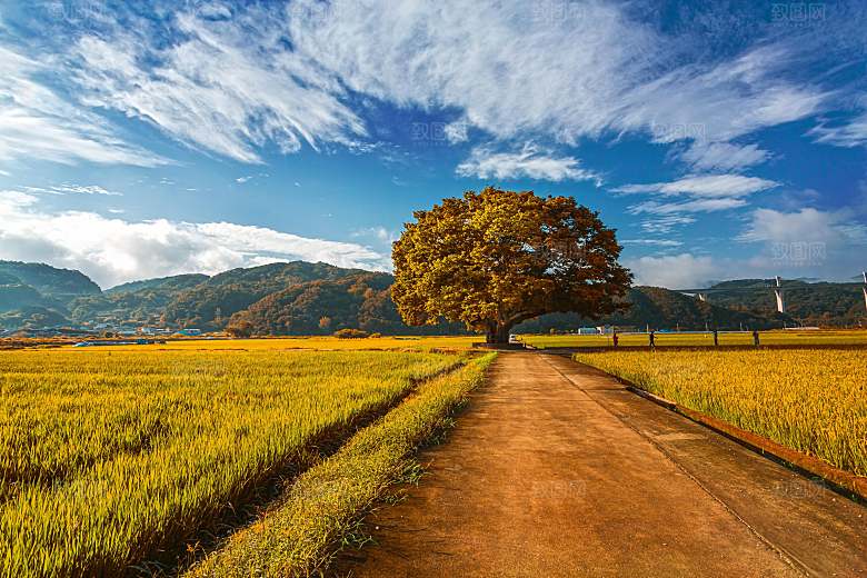 欧洲乡村旅游自然风景农村封面欧洲乡村图片