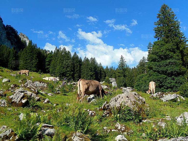 欧洲乡村旅游自然风景农村封面欧洲乡村
