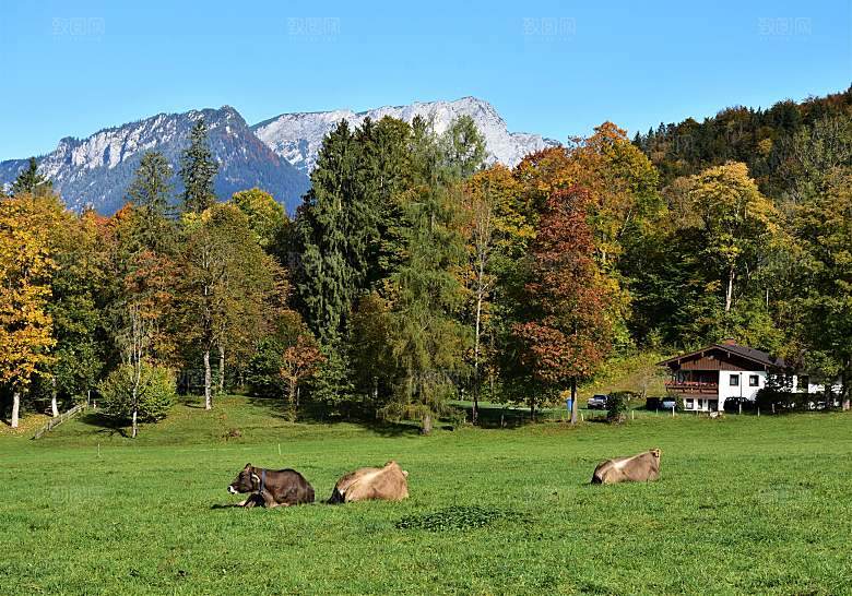 欧洲乡村旅游自然风景农村封面欧洲乡村