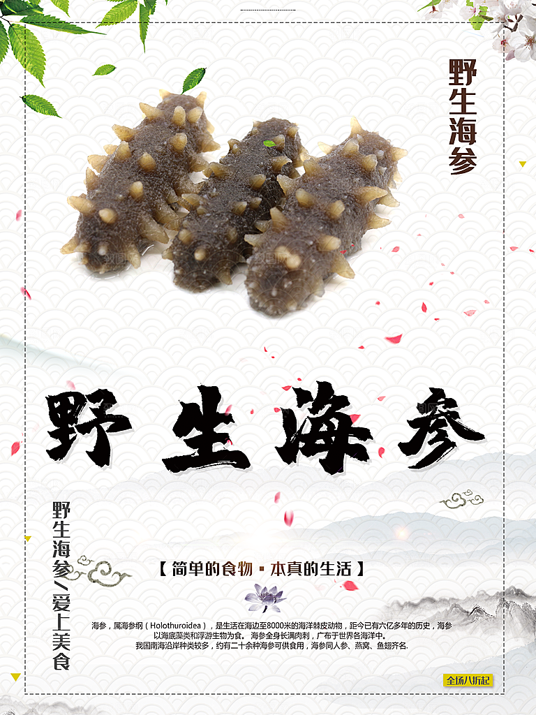 野生海参宣传海报