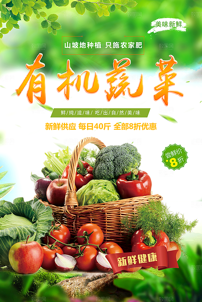 有机蔬菜宣传海报