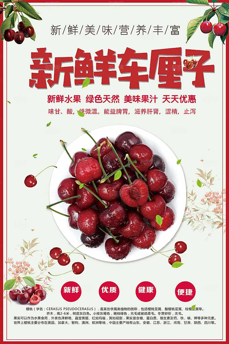 新鲜车厘子宣传海报
