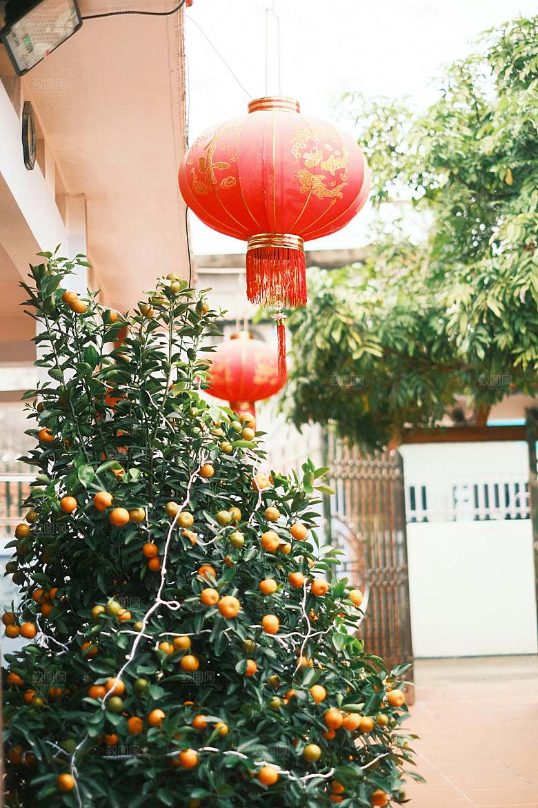 柚子水果摄影素材