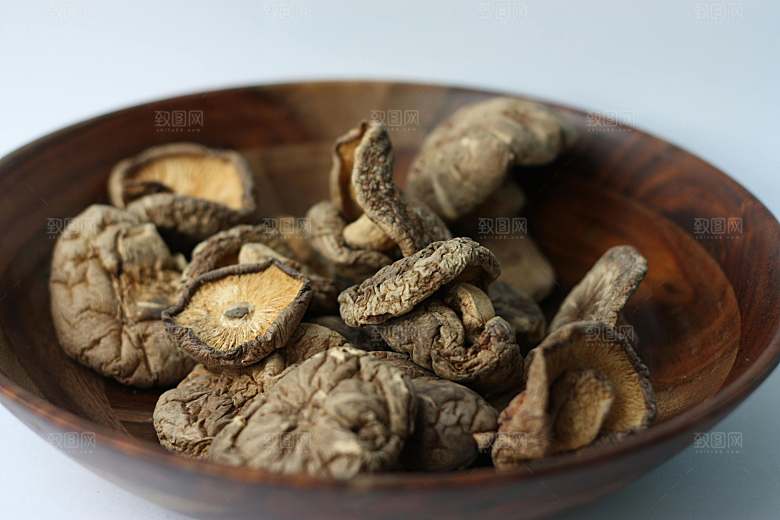 蘑菇菌类摄影素材
