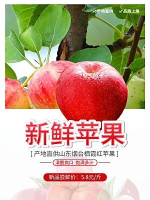新鲜苹果宣传海报