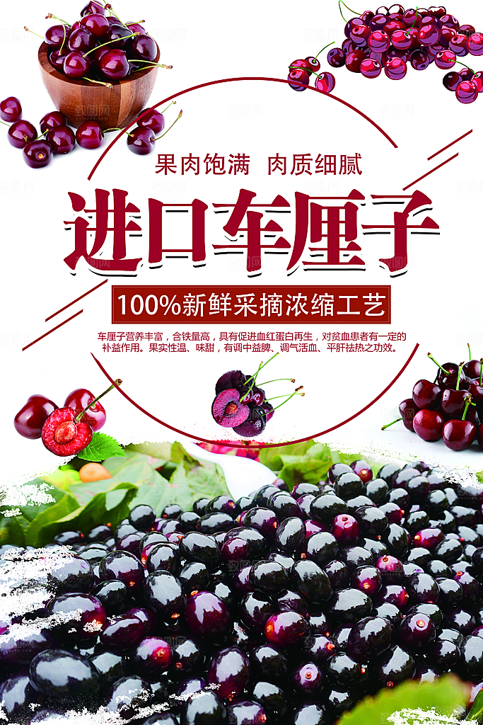 新水果进口车厘子