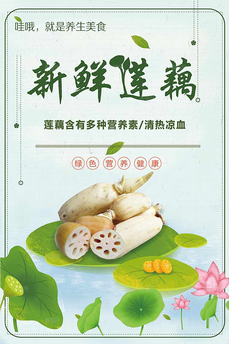 新鲜有机蔬菜莲藕