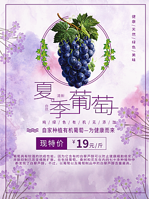 夏季葡萄宣传海报