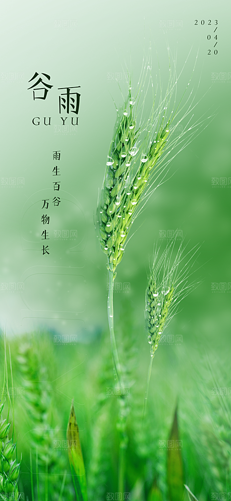 谷雨节气简约大气海报