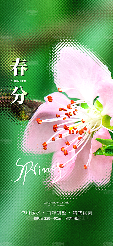 谷雨节气简约大气海报