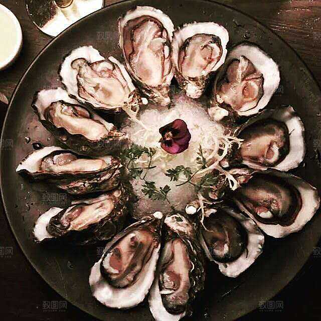 生蚝海鲜菜品摄影