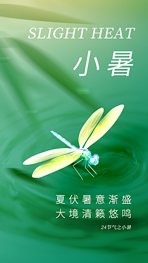 小暑节气简约大气海报