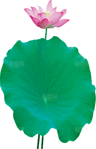 唯美古风水彩手绘荷花荷叶古典水墨莲花