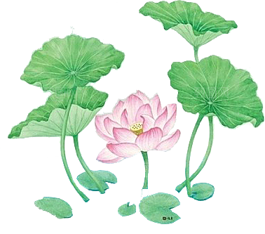 唯美古风水彩手绘荷花荷叶古典水墨莲花