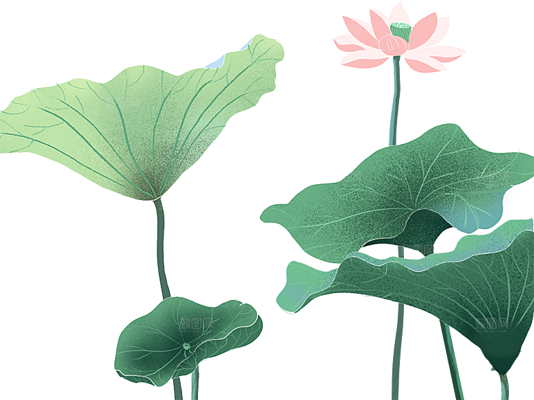 唯美古风水彩手绘荷花荷叶古典水墨莲花