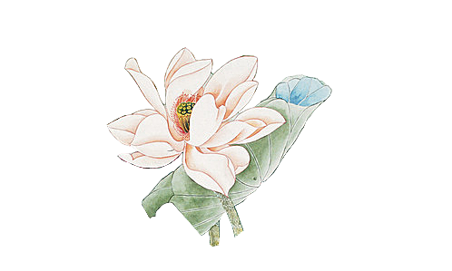 唯美古风水彩手绘荷花荷叶古典水墨莲花素材