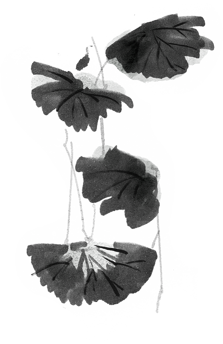 唯美古风水彩手绘荷花荷叶古典水墨莲花